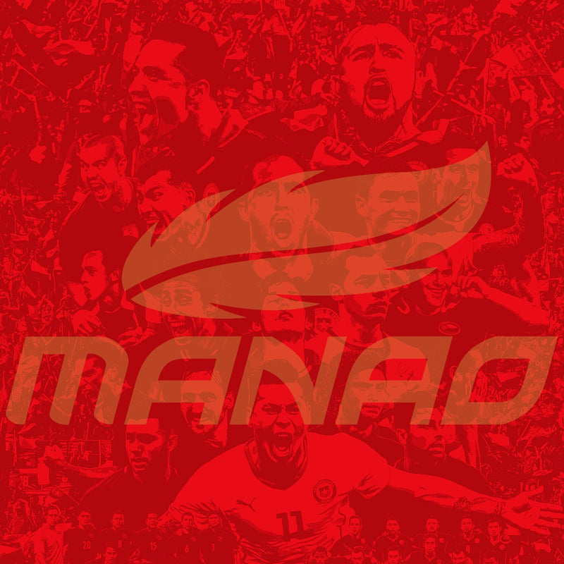 Camiseta Chile Generación Dorada  Tributo A Los Bicampeones